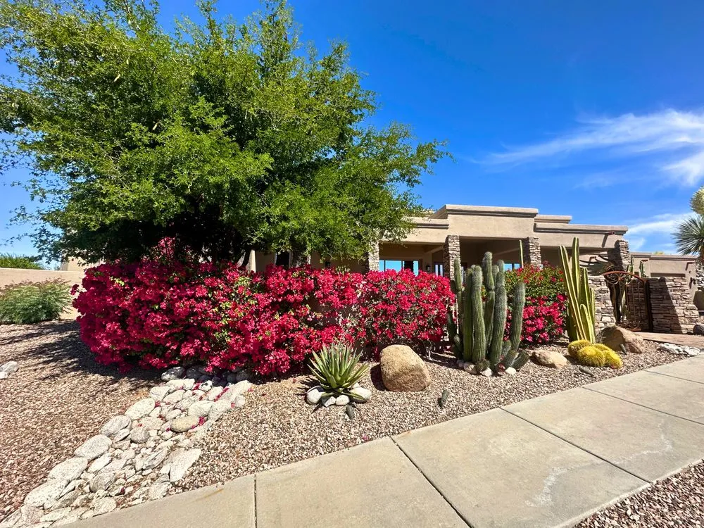 Custom lawn care service in Tucson, AZ - Dawn Till Dusk Landscaping