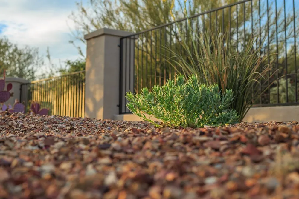 Local yard cleanup service experts serving Tucson, AZ - Dawn Till Dusk Landscaping