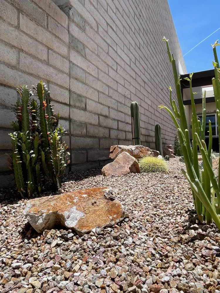 Trusted yard cleanup service in Tucson, AZ - Dawn Till Dusk Landscaping