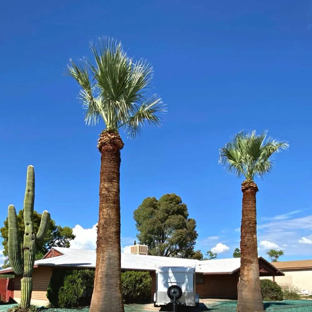 Top-rated landscaping services in Tucson, AZ - Dawn Till Dusk Landscaping