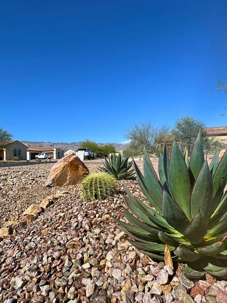 Trusted landscape design for beautiful yards across Tucson, AZ - Dawn Till Dusk Landscaping