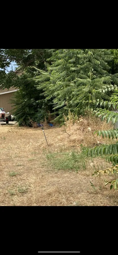 Professional landscape installation for year-round maintenance in East Wenatchee, WA by Dawn View Landscaping