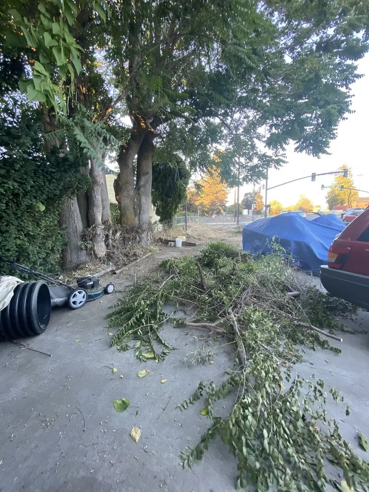 Professional yard maintenance for residential properties across East Wenatchee, WA - Dawn View Landscaping