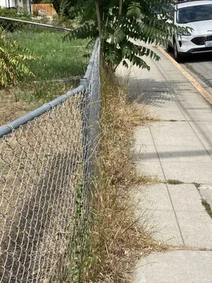 Dawn View Landscaping Logo