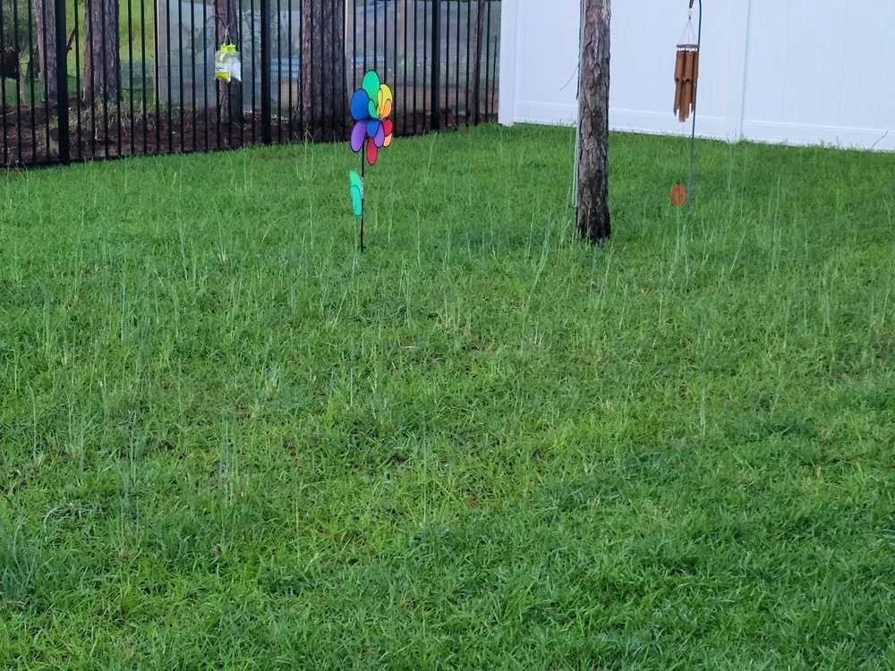 Top-rated residential landscaping near you across Southport, NC - Dawn's Lawn & Landscapes