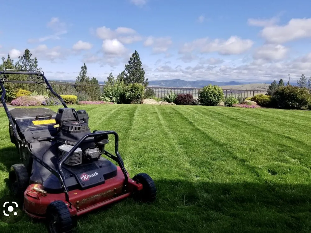 Custom landscape installation in Latta, SC by Dawson Covington