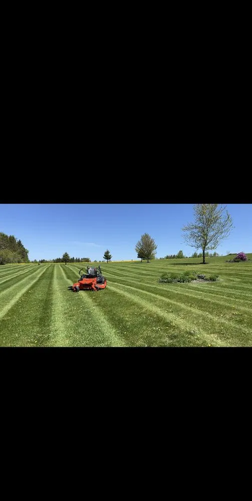 Expert yard maintenance experts serving Easton, ME - Dawson Flewelling