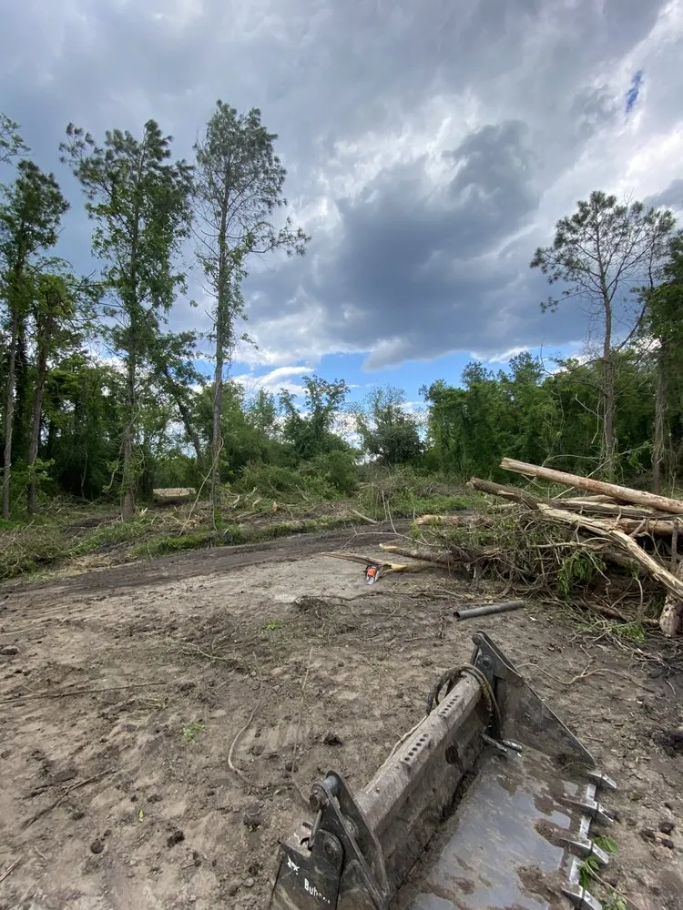 Trusted yard cleanup service for residential properties in Rocky Point, NC by Dawson Land Services