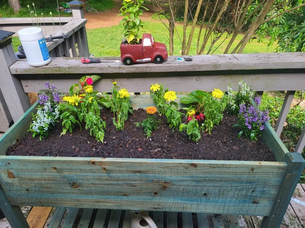 Professional landscape installation for year-round maintenance across Canton, GA - Dawson lawncare