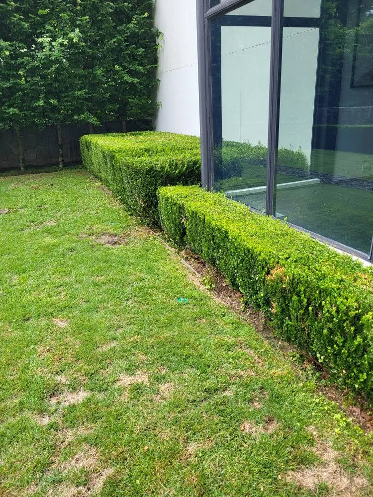 Reliable yard cleanup service in Canton, GA by Dawson lawncare