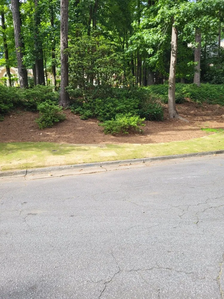 Affordable landscape installation with custom design across Canton, GA - Dawson lawncare