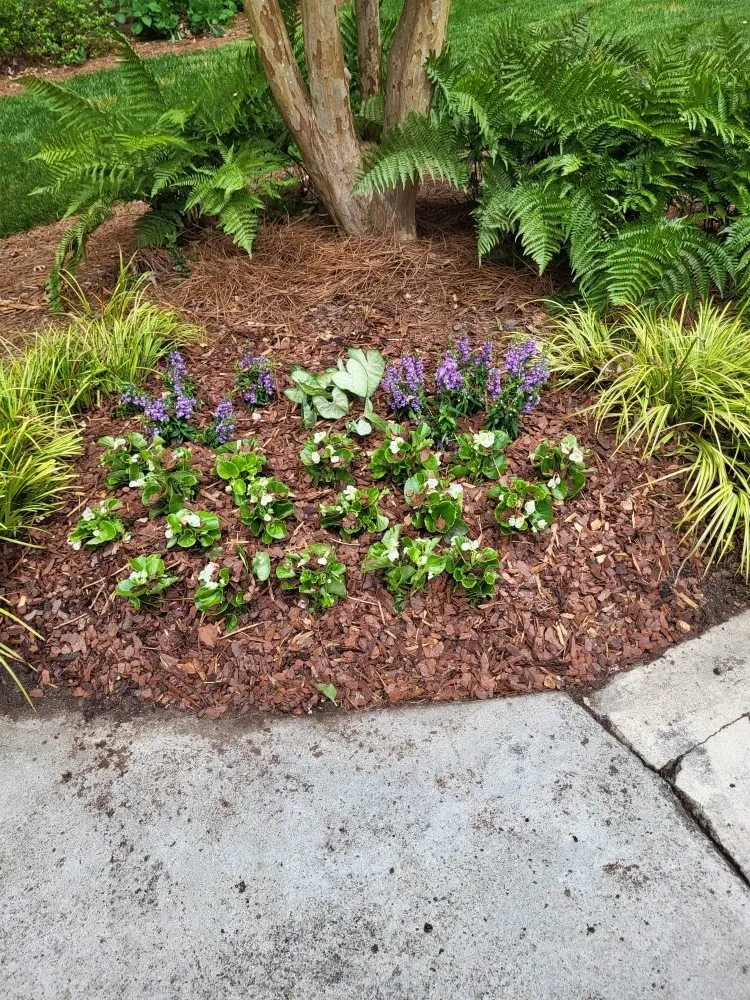 Reliable yard cleanup service for beautiful yards across Canton, GA - Dawson lawncare