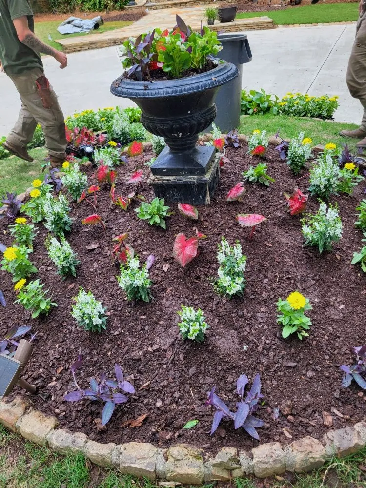 Top-rated landscaping services for homes in Canton, GA by Dawson lawncare