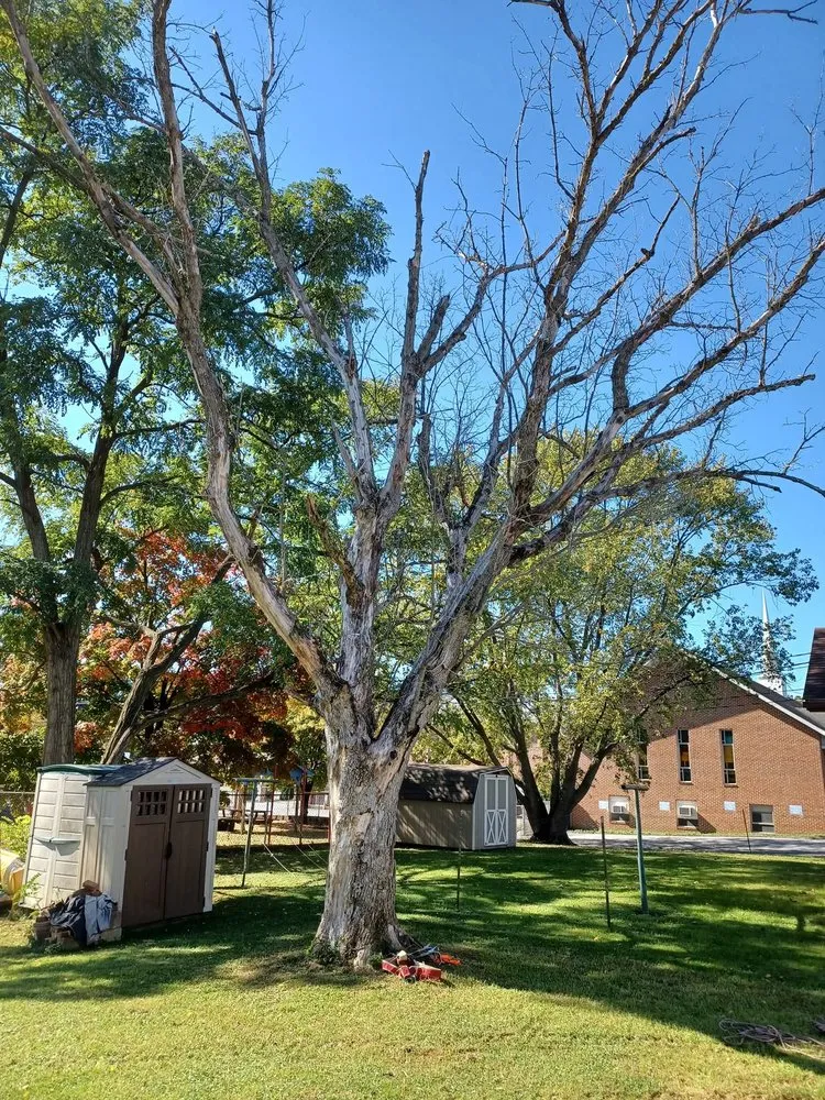 Affordable residential landscaping experts serving Front Royal, VA - Dawson's Landscape & Lawncare