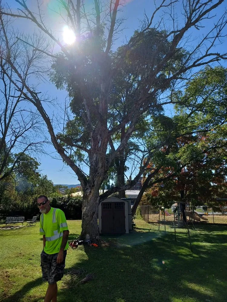Affordable garden landscaping with custom design across Front Royal, VA - Dawson's Landscape & Lawncare