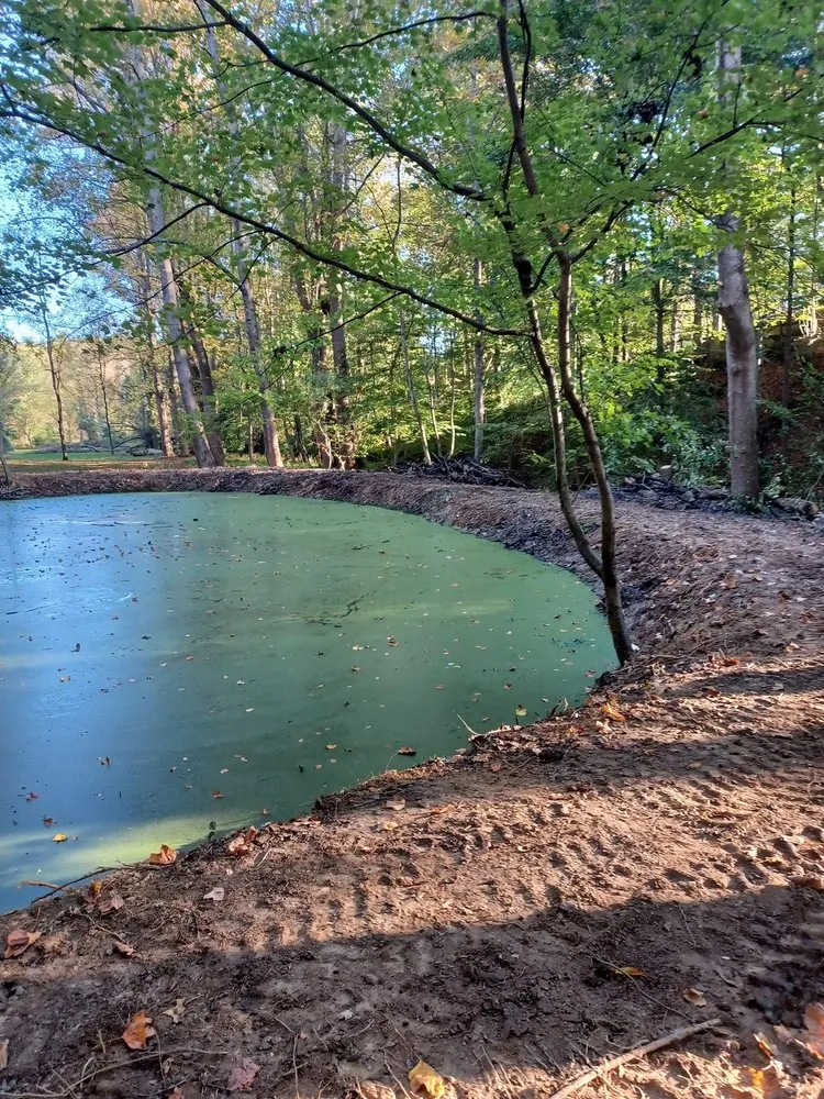 Top-rated lawn care service in Front Royal, VA - Dawson's Landscape & Lawncare