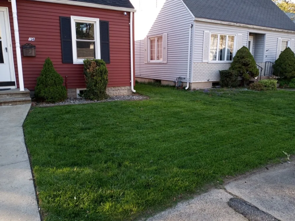 Custom yard cleanup service experts serving Springfield, MA - Dawson's Lawn Care & Snow