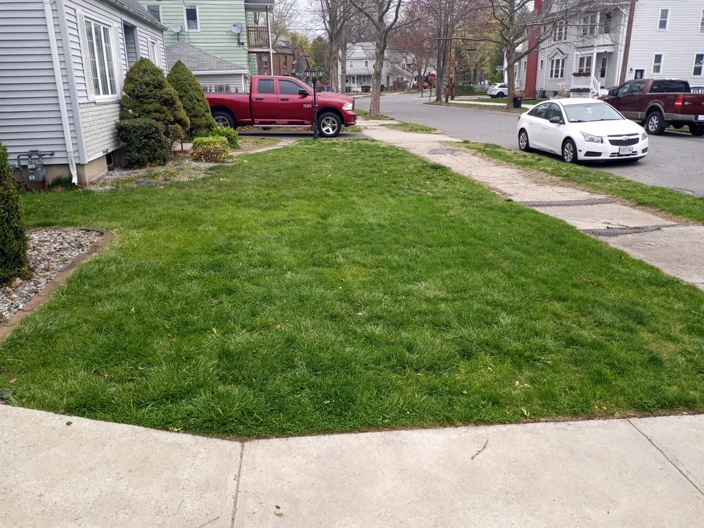 Local lawn care service experts serving Springfield, MA - Dawson's Lawn Care & Snow