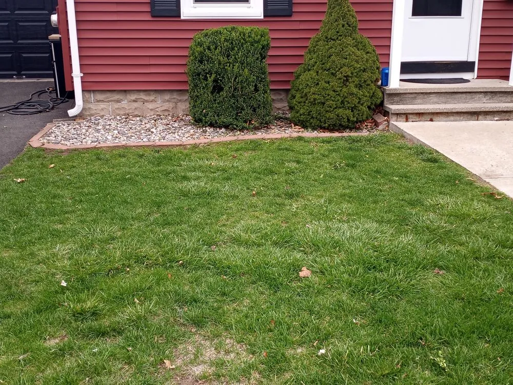 Reliable yard cleanup service for outdoor upgrades in Springfield, MA by Dawson's Lawn Care & Snow