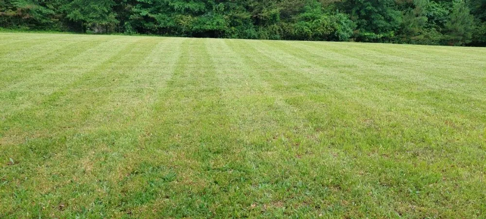 Reliable residential landscaping with custom design across Dawsonville, GA - Dawsonville Lawn Care