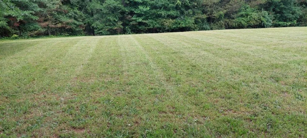 Custom yard cleanup service in Dawsonville, GA - Dawsonville Lawn Care