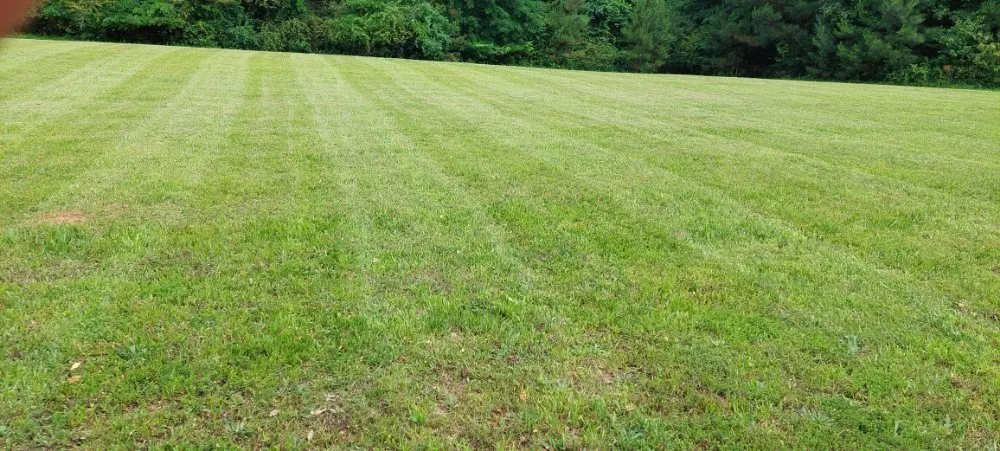 Expert garden landscaping in Dawsonville, GA - Dawsonville Lawn Care