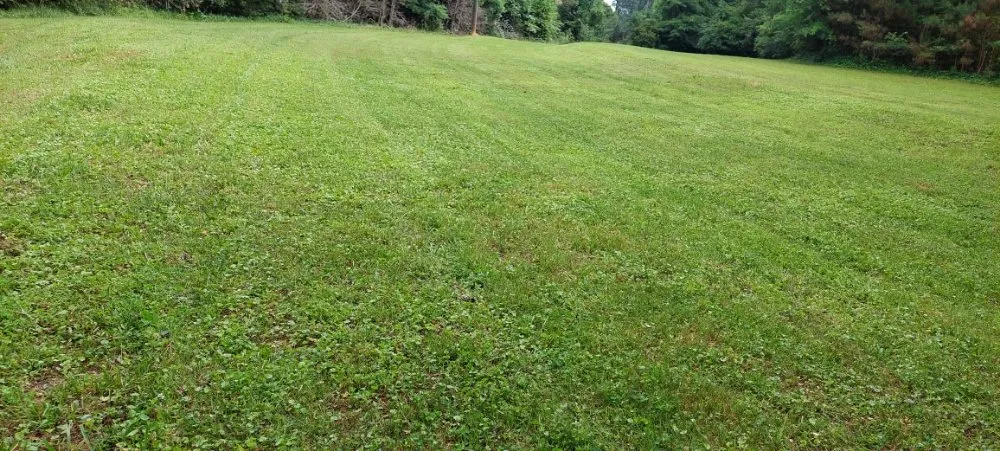 Local residential landscaping experts serving Dawsonville, GA - Dawsonville Lawn Care