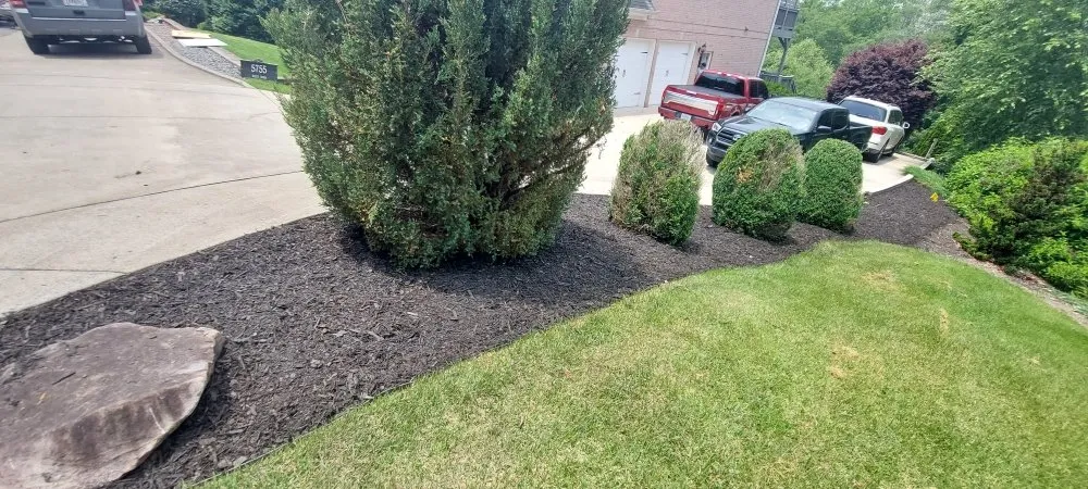 Affordable outdoor landscaping for residential properties in Dawsonville, GA by Dawsonville Lawn Care