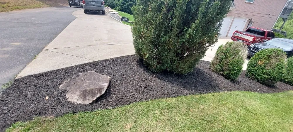 Affordable lawn care service for outdoor upgrades in Dawsonville, GA by Dawsonville Lawn Care