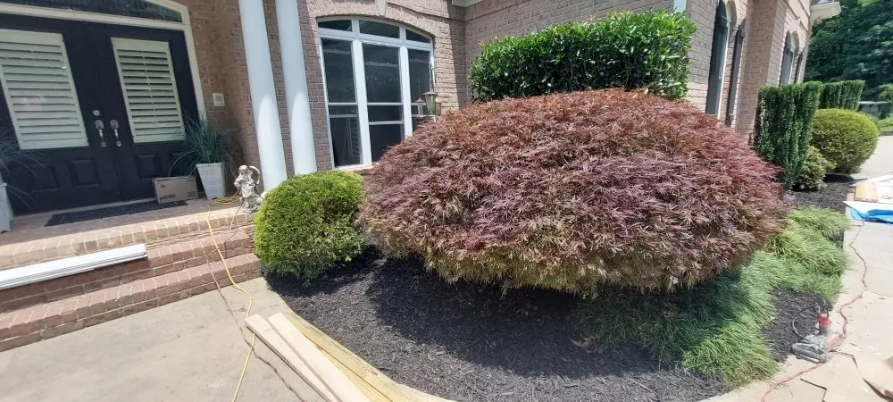 Trusted landscape design in Dawsonville, GA - Dawsonville Lawn Care