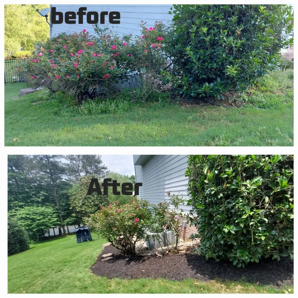 Expert yard cleanup service with custom design in Dawsonville, GA by Dawsonville Lawn Care