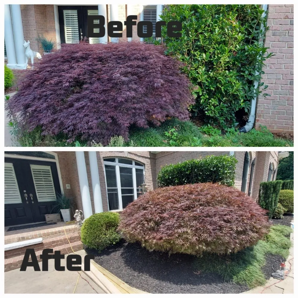 Affordable landscape installation in Dawsonville, GA - Dawsonville Lawn Care