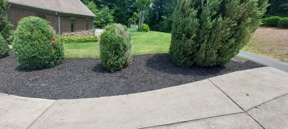 Top-rated landscape design experts serving Dawsonville, GA - Dawsonville Lawn Care