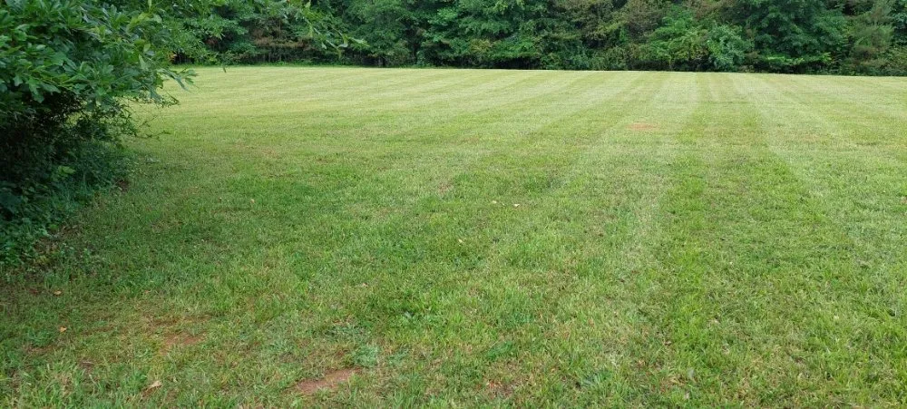 Local garden landscaping experts serving Dawsonville, GA - Dawsonville Lawn Care