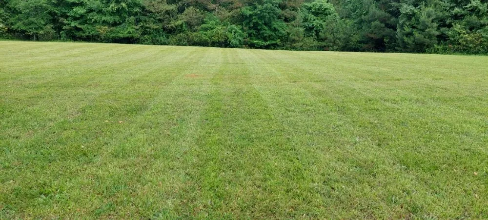 Trusted residential landscaping for outdoor upgrades in Dawsonville, GA by Dawsonville Lawn Care