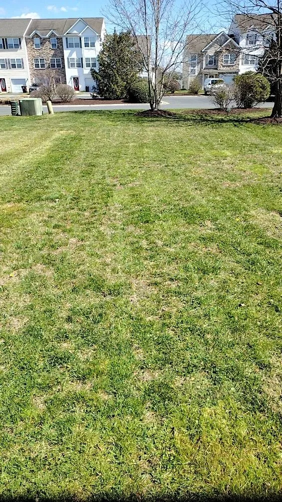 Reliable garden landscaping in Cambridge, MD by Dawsun's Lawn Care