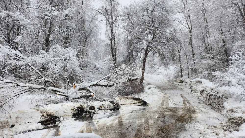 Custom lawn care service in Troy, NY by Day and Sons Enterprises