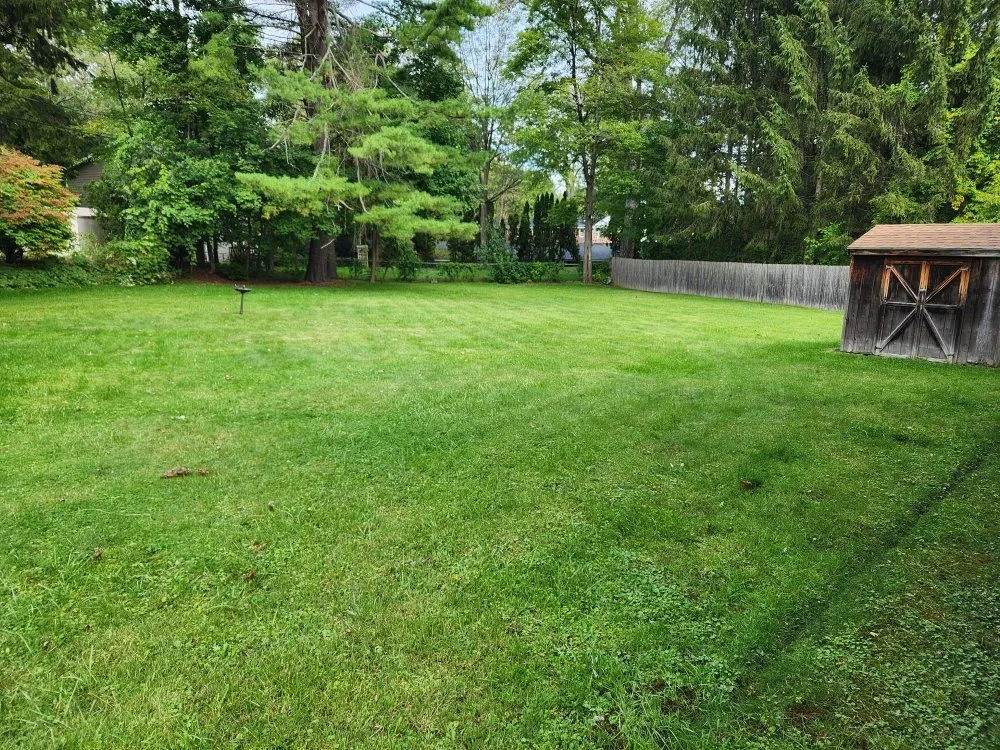 Trusted yard cleanup service in Troy, NY by Day and Sons Enterprises