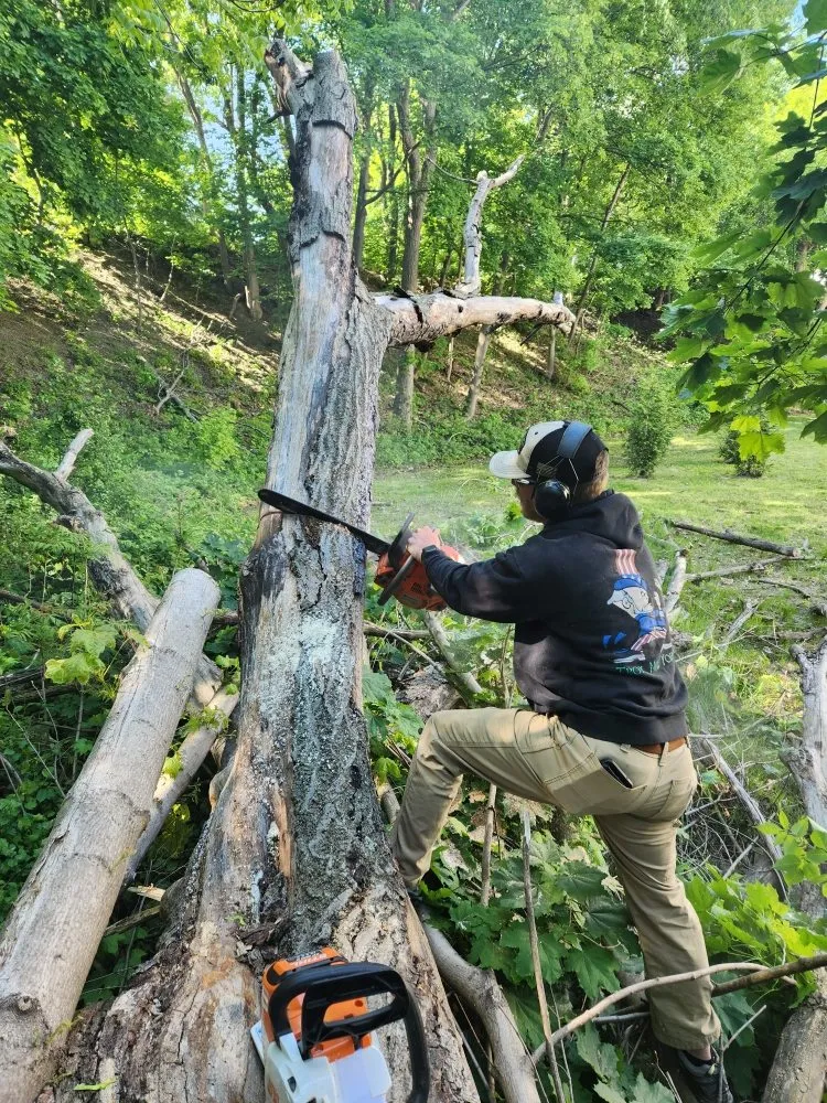 Expert garden landscaping for outdoor upgrades across Troy, NY - Day and Sons Enterprises