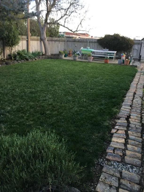 Affordable yard maintenance near you across American Canyon, CA - Day Landscaping