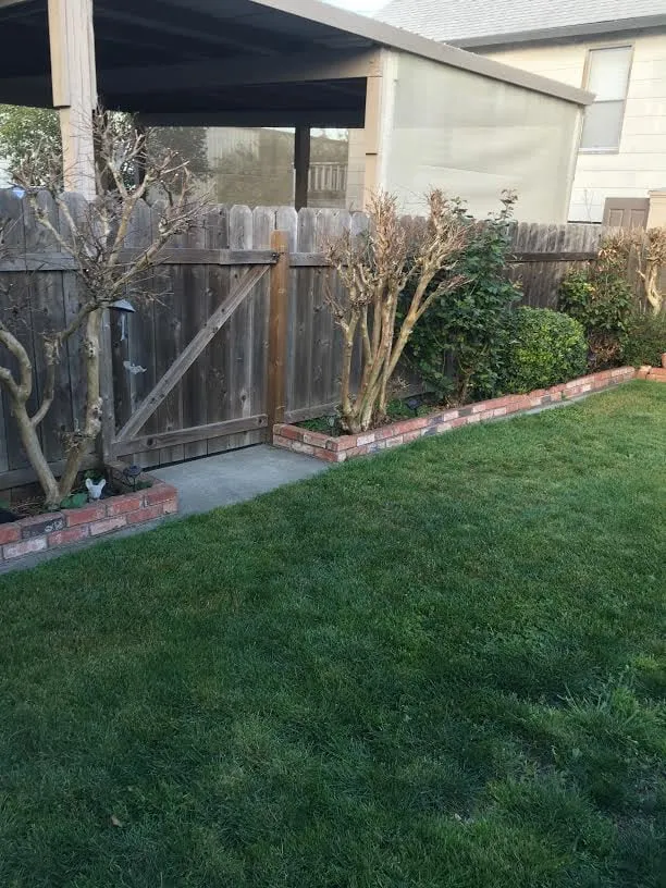 Expert yard cleanup service in American Canyon, CA - Day Landscaping
