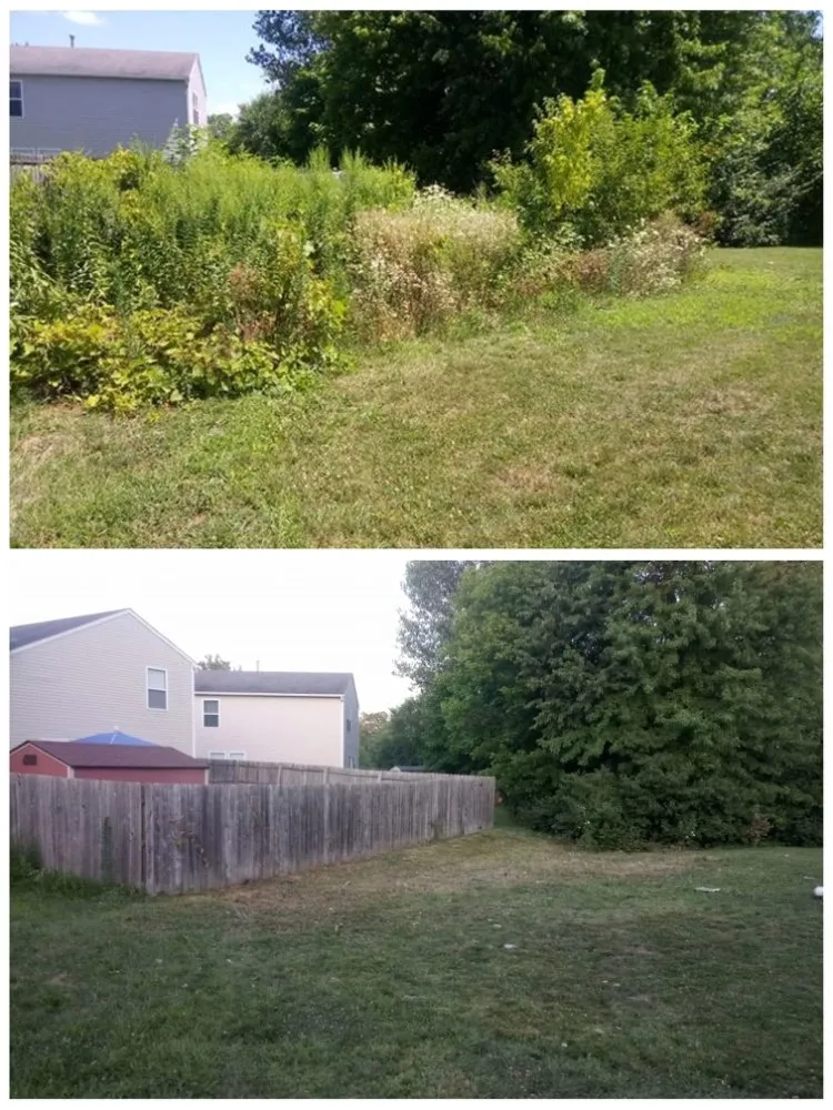 Reliable lawn care service in Indianapolis, IN - Day On A Lawn