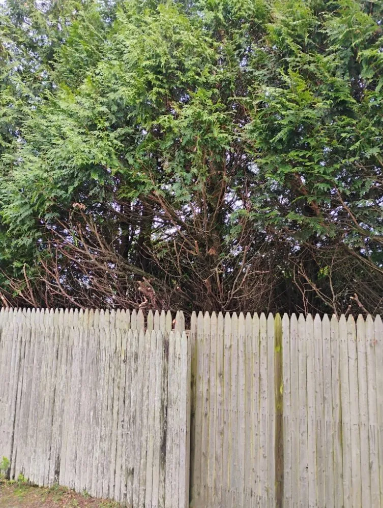 Affordable residential landscaping experts serving Shirley, NY - Day one landscaping