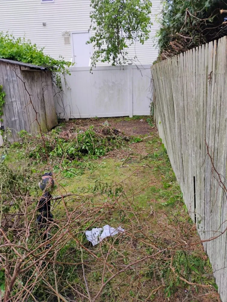 Local yard maintenance for homes across Shirley, NY - Day one landscaping