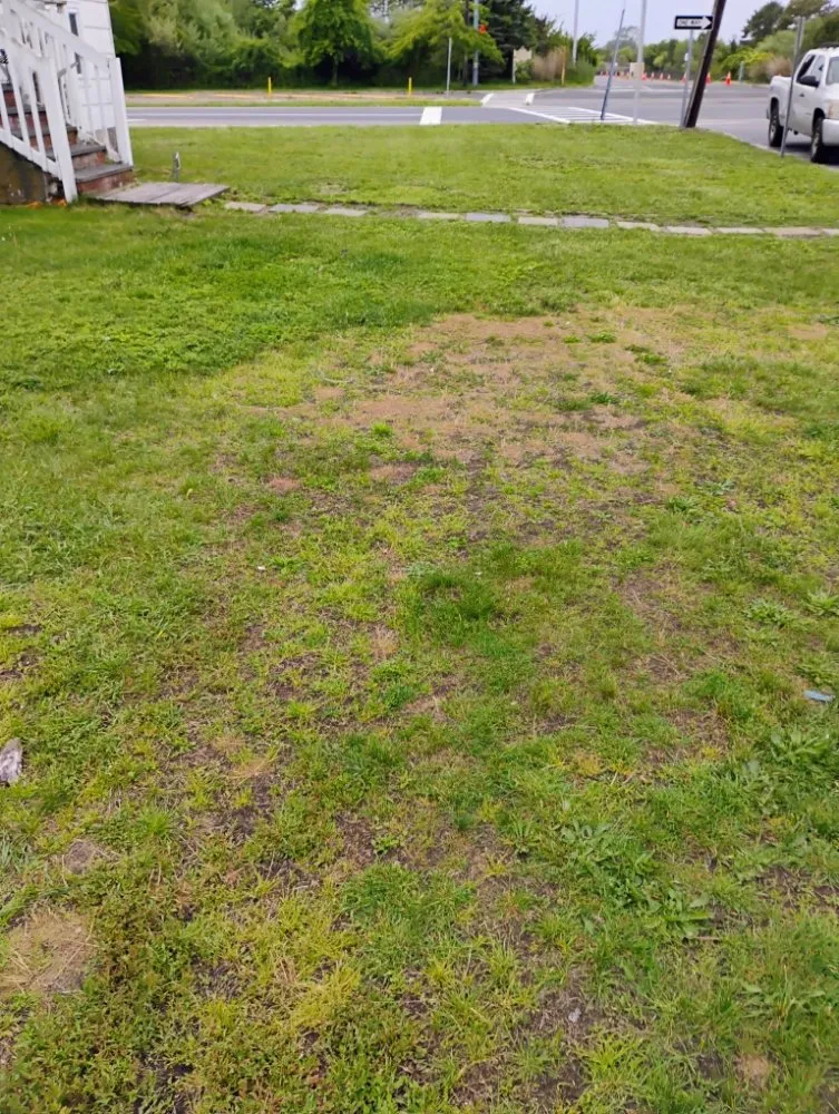 Local lawn mowing service for beautiful yards across Shirley, NY - Day one landscaping