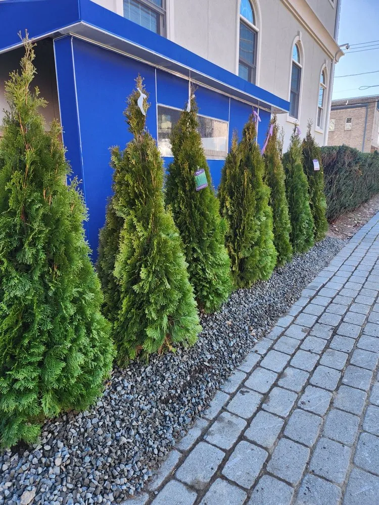 Professional landscaping services experts serving Englewood, NJ - Dayali landscaping & Home improvement