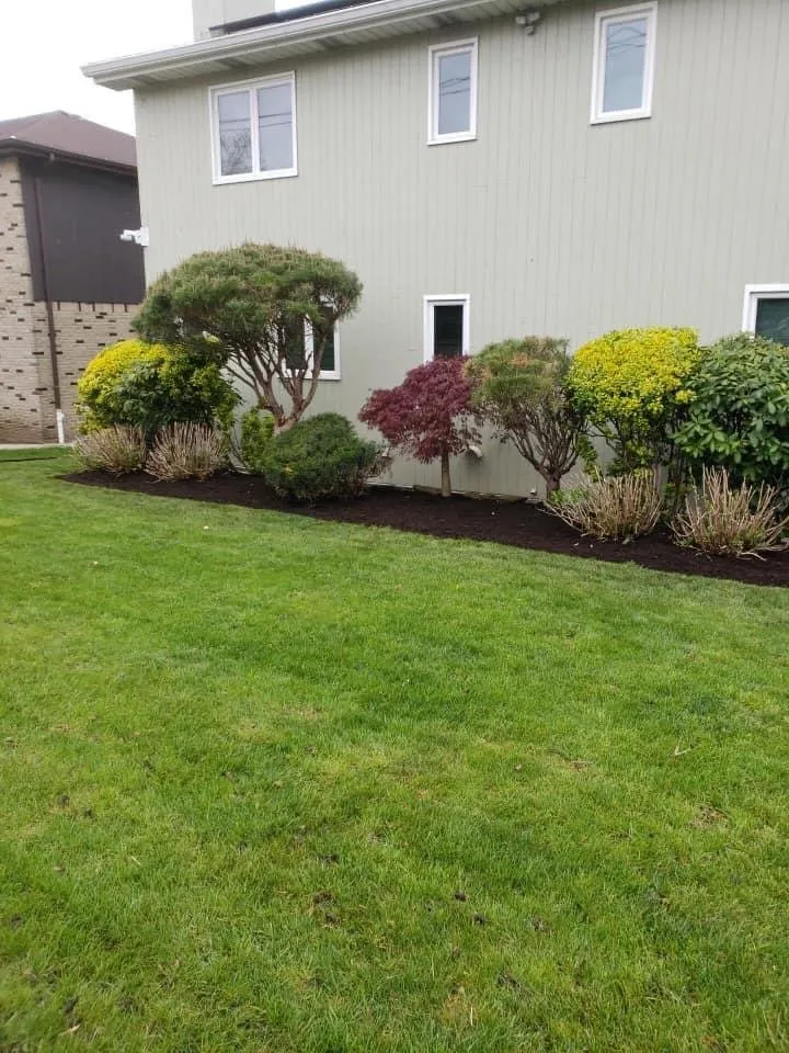Custom yard cleanup service near you in Englewood, NJ by Dayali landscaping & Home improvement