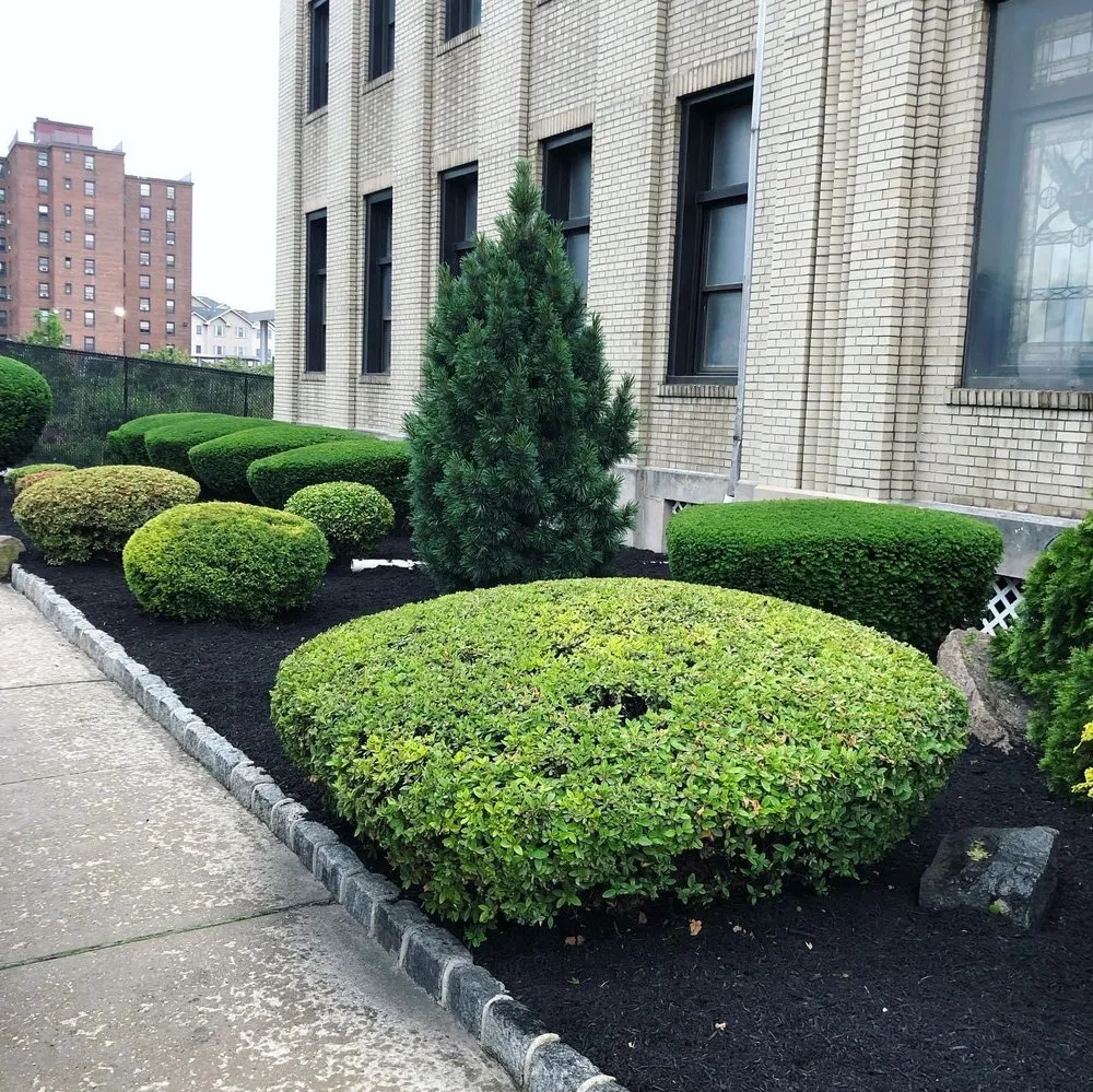 Top-rated garden landscaping for year-round maintenance in Englewood, NJ by Dayali landscaping & Home improvement