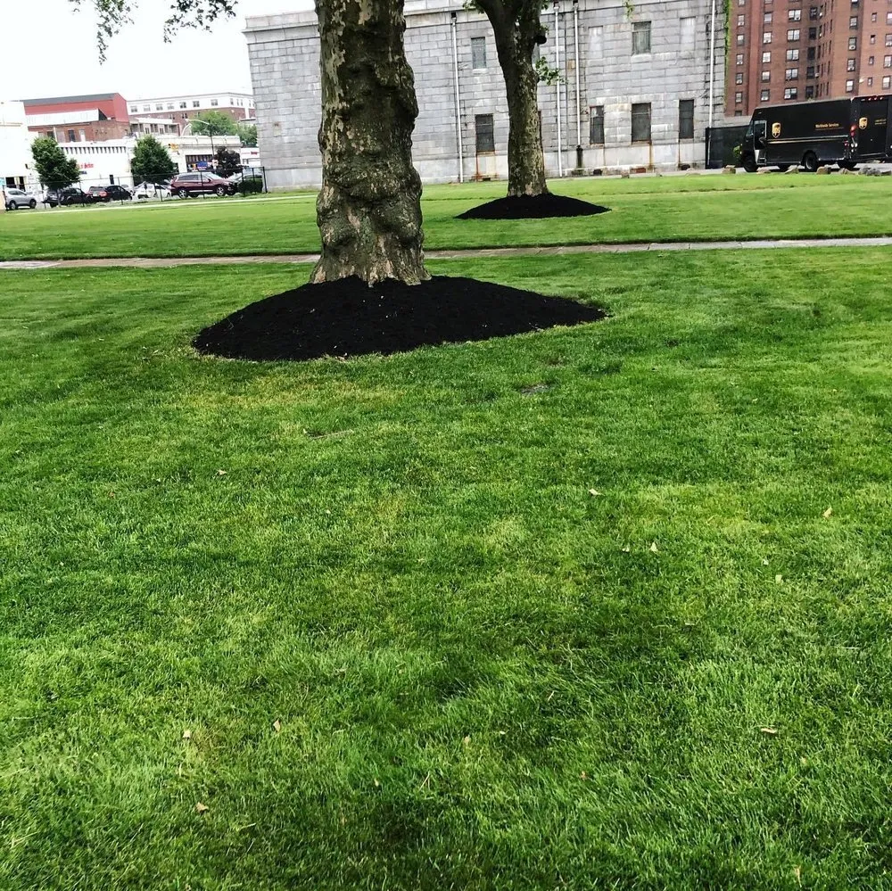 Reliable yard cleanup service experts serving Englewood, NJ - Dayali landscaping & Home improvement