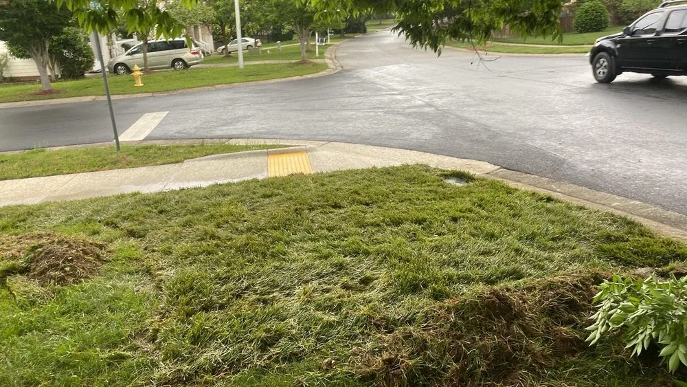 Professional landscape design experts serving Raleigh, NC - Dayana's Landscaping